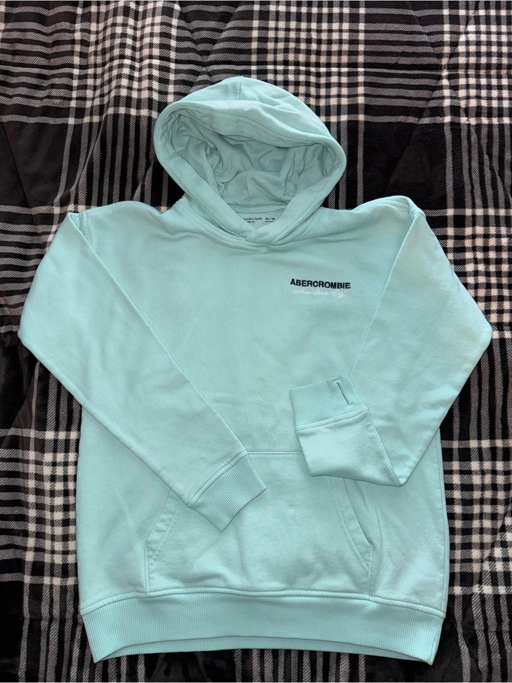 abercrombie kids Men's Light Aqua Crewneck Hoodie